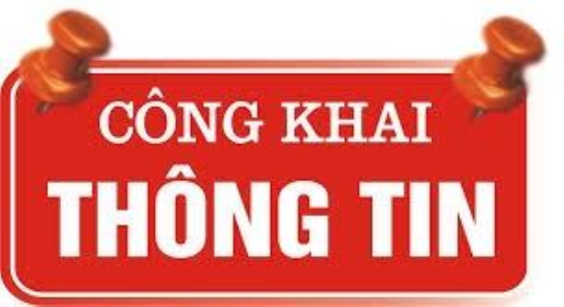 THÔNG BÁO THI HÀNH ÁN