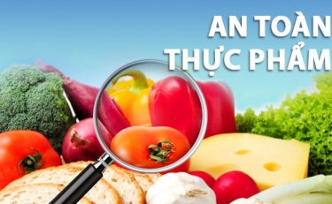 Triển khai Công văn tăng cường quản lý an toàn thực phẩm, ngăn ngừa thực phẩm giả