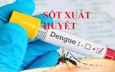PHÒNG CHỐNG SỐT XUẤT HUYẾT